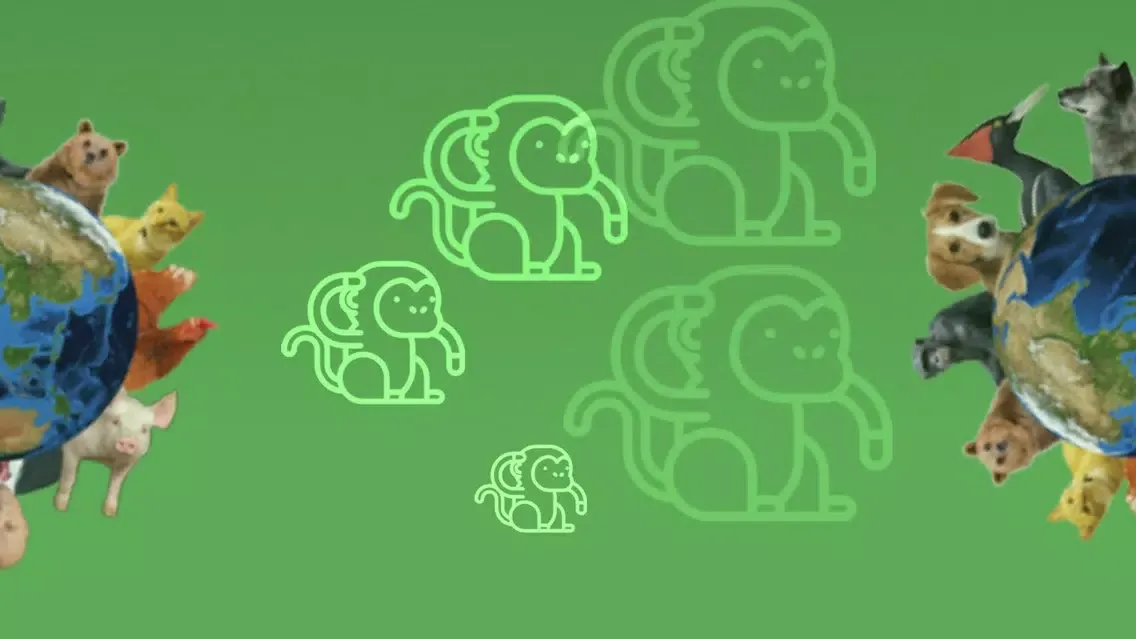 Скриншоты SoundLight Animals