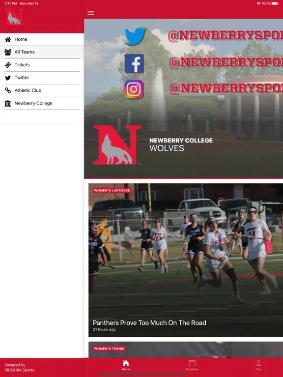 Скриншоты Newberry Wolves iPad 