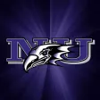 Purple Eagles - Niagara University Athletics