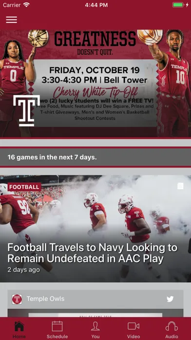 Temple Owls Screenshots