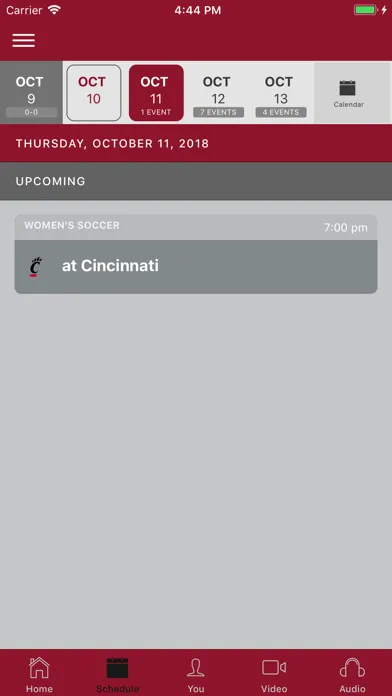 Temple Owls Screenshots