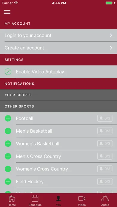 Temple Owls Screenshots