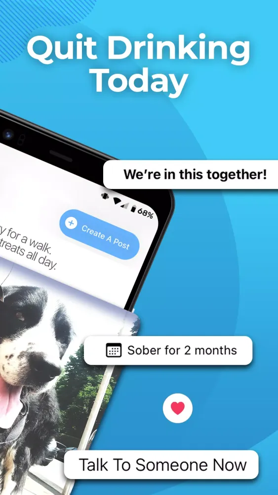 Sober Sidekick Ekran Görüntüleri