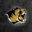Bentonville Tiger Athletics Bentonville Tiger Athletics