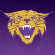 Bethel University Athletics Bethel University Athletics