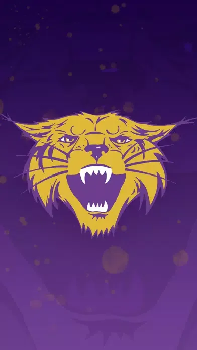 Bethel University Athletics Screenshots