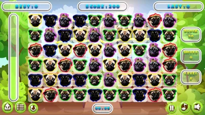 صور Pug Crush