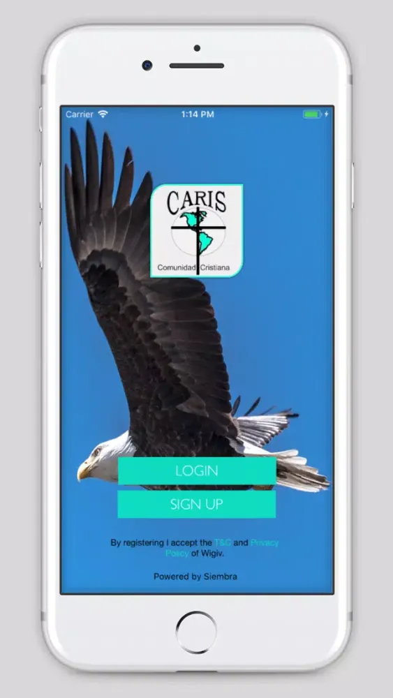 CARIS স্ক্রিনশট