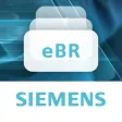 eBatch Reviewer