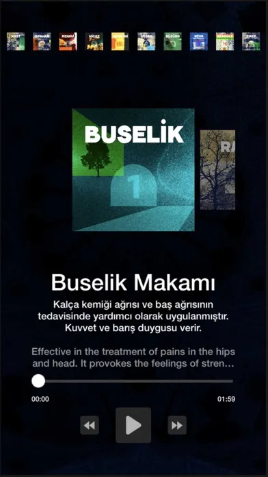 Скриншоты Şifalı Makamlar