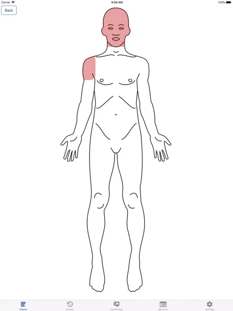 KneadTracker - Massage Manager iPad 应用截图