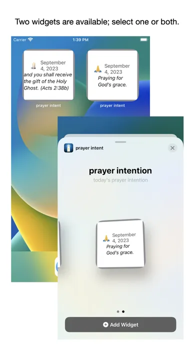 daily prayer intentions স্ক্রিনশট
