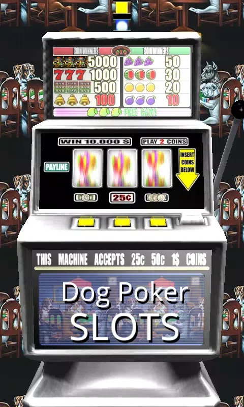 3D Dog Poker Slots Screenshots
