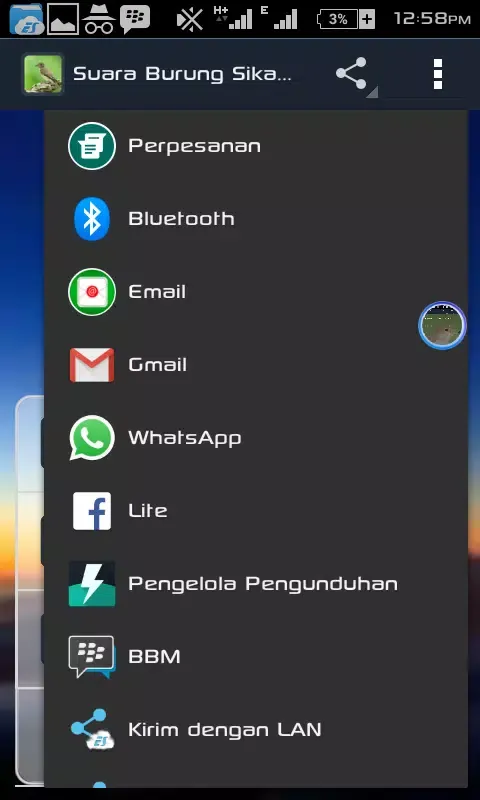 Suara Burung Sikatan Londo Screenshots