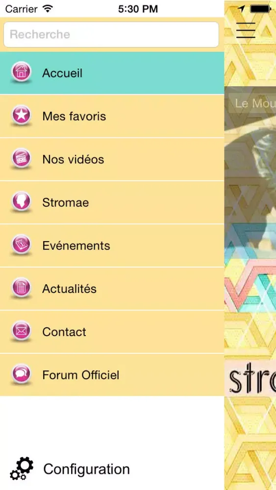 Скриншоты L'Appli des fans pour Stromaeometre