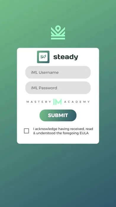 IM Steady Screenshots