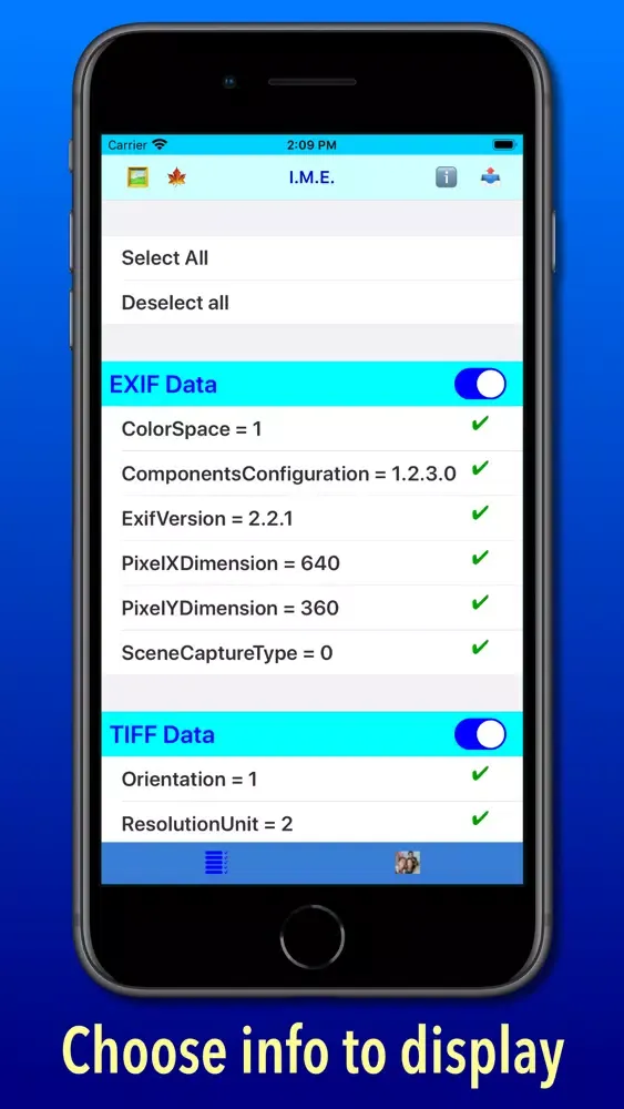 Tangkapan layar Image Metadata Explorer