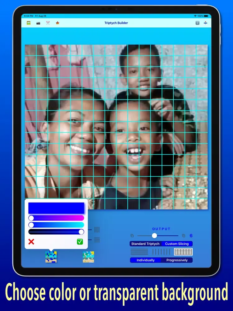 ภาพหน้าจอของ Triptych Builder iPad 
