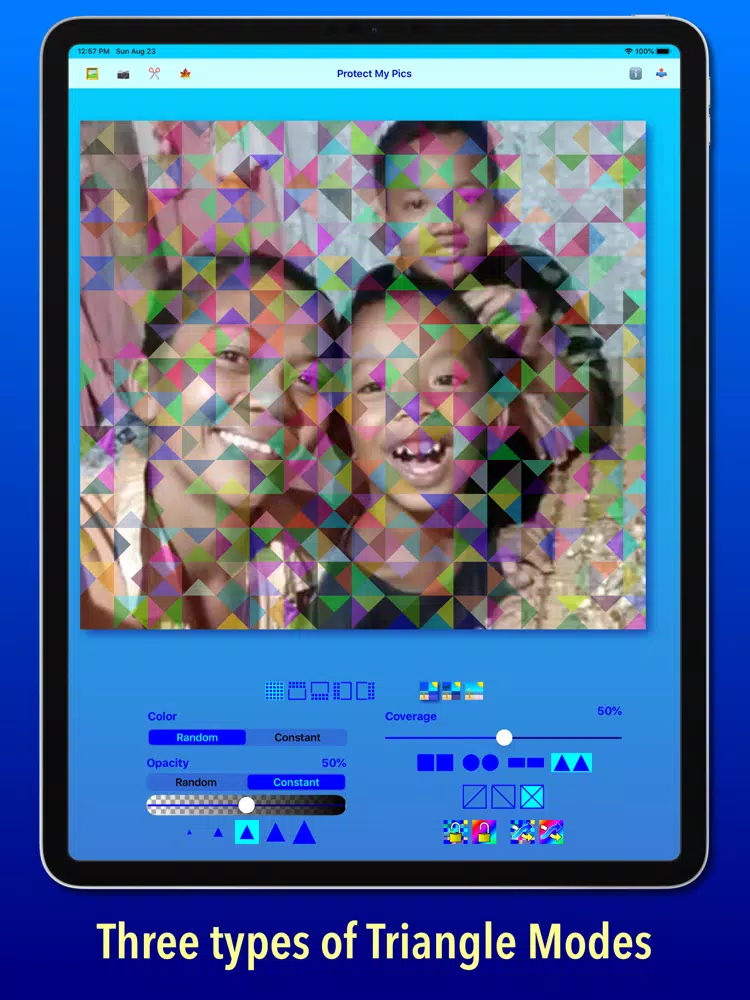 Protect My Pics iPad  스크린샷