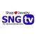 SNG TV by SilverAndGold