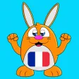 Learn French - LuvLingua