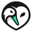 Ducknowl Ducknowl