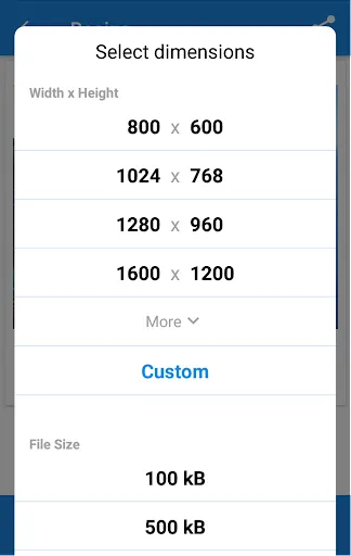 Screenshot di Photo & Picture Resizer