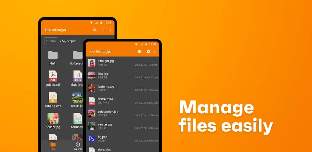 Simple File Manager Pro