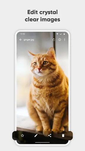 Capturas de pantalla de Simple Gallery Pro