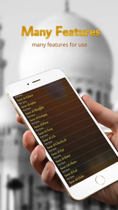 Captures d'écran de Holy Quran - Mishary Rashid Alafasy - offline