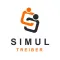Simul Driver
