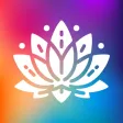 Lotus Vibes