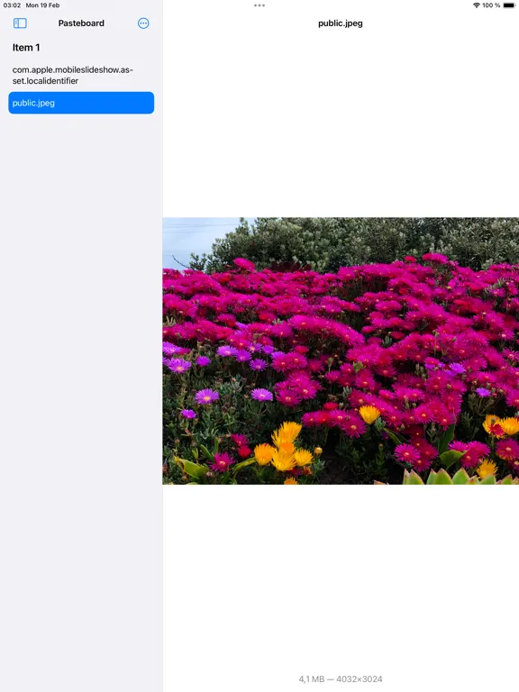 Pasteboard Viewer iPad  Screenshots