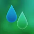 Falling Rain