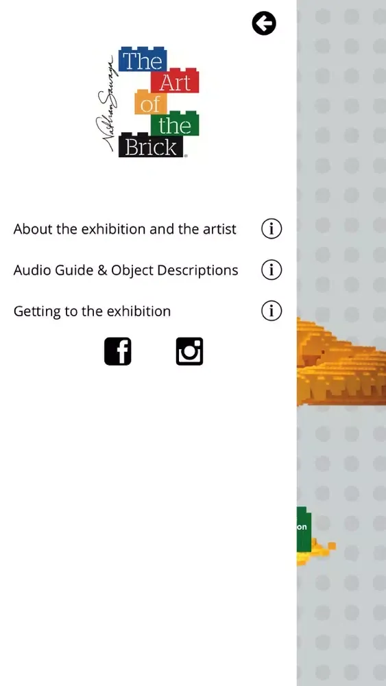 THE ART OF THE BRICK® Geneva應用截圖