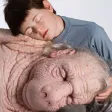 ComCiência | Patricia Piccinini ComCiência | Patricia Piccinini
