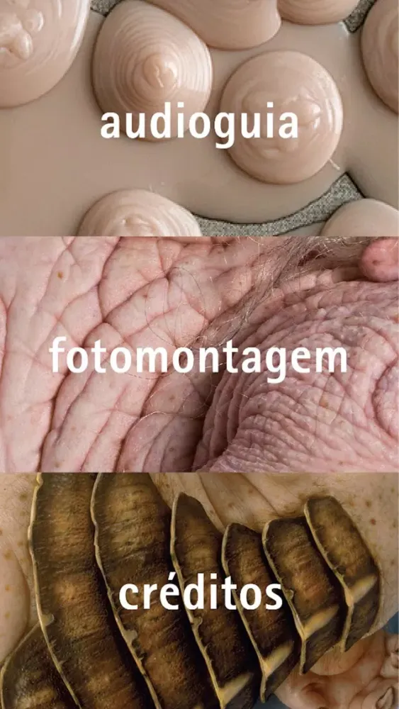 Скриншоты ComCiência | Patricia Piccinini