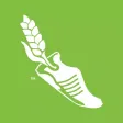 Market to Market Relay