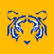 Tigres