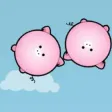 Catch Pigs