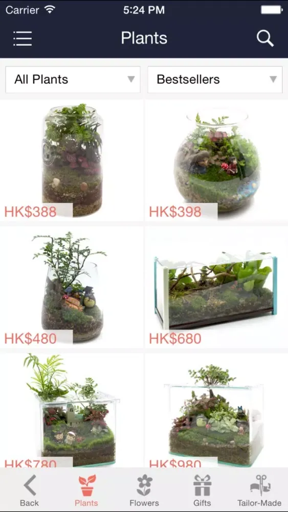 Tangkapan layar GAYA Flores
