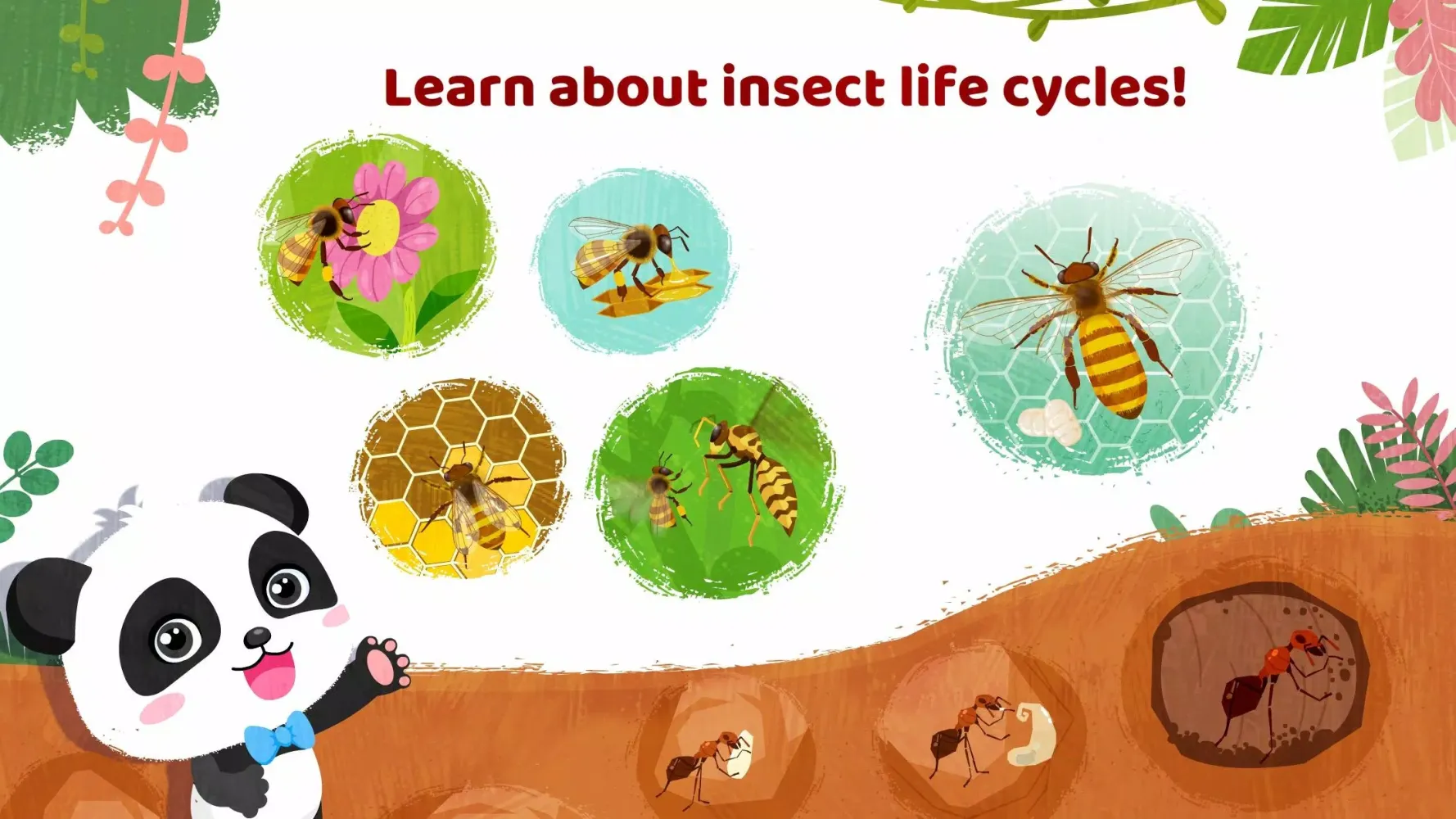 Little Panda's Insect World Ekran Görüntüleri