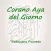 Corano Aya del Giorno