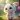 Cute Wallpapers