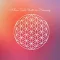 Cosmic Oneness