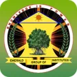 Emerald International School