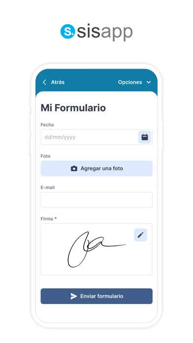 SisApp Formularios Screenshots