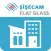 Right Glass Pro