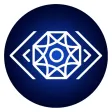 Iris Security Iris Security