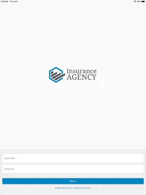 Скриншоты SIS Client App iPad 